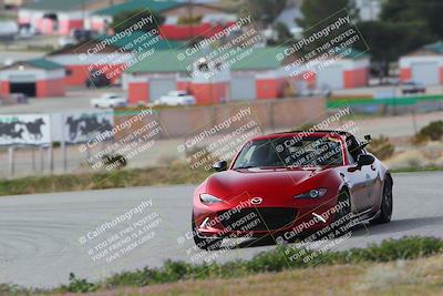 media/Feb-25-2024-Touge2Track (Sun) [[ed4a1e54f3]]/Pink/Morning session/Turn 2/